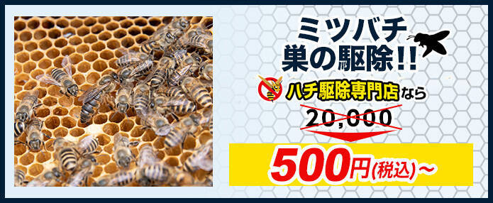 ミツバチの巣の駆除の価格