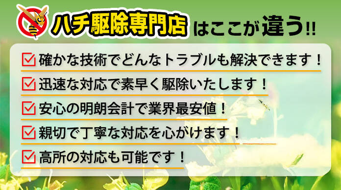 ハチ駆除専門店はここが違う！！確かな技術でトラブル解決！迅速、明朗会計業界最安値！親切丁寧！高所も可能！