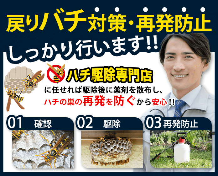 駆除後に薬剤を散布し、戻りバチ対策・再発防止もしっかり行います！