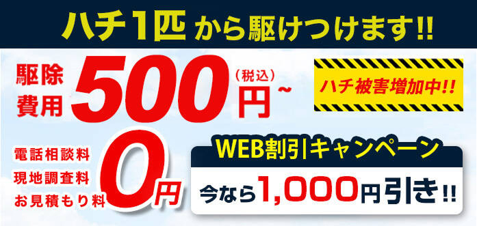 WEBクーポン今なら1000円引き！！